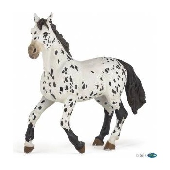 Papo Appaloosa Con