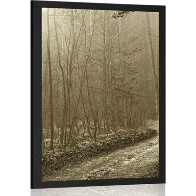 Plakát sépiová cestička do lesa - 20x30 white