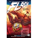 The Flash Vol. 5 Rebirth