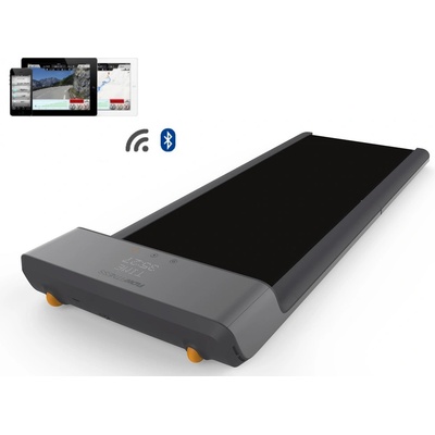 FLOW FITNESS DTM100i