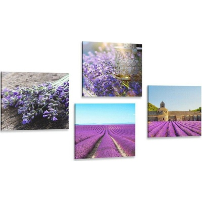 Set obrazů krásná levandule - 4x 40x40
