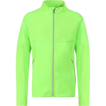 Alpine Pro Dozero neon green gecko