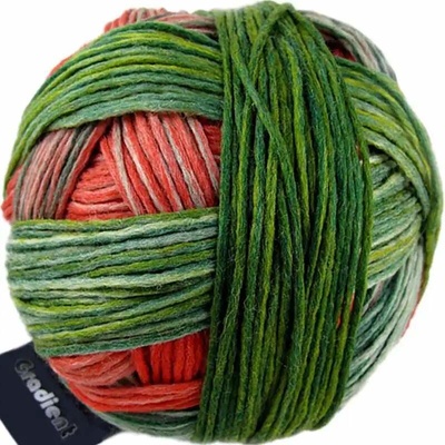 Schoppel Wolle Gradient 1701 Papagei