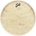 Evans BD22GB4CT