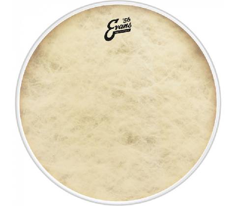Evans BD22GB4CT