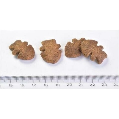 Maškrty Brit Care Dog Crunchy Cracker Insect with Salmon enriched with Thyme 200 g