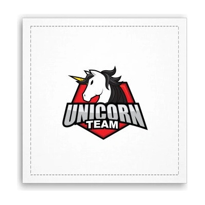 Fotoobraz 40x40 cm Unicorn team