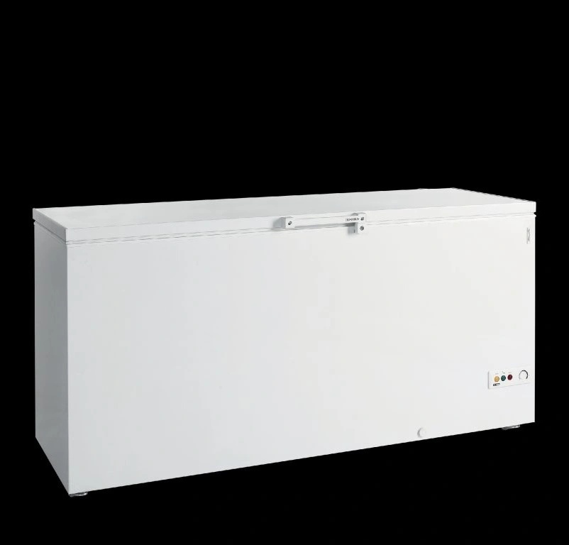 Tefcold FR605S-l