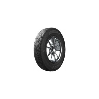 Michelin PILOT ALPIN 5 265/50 R19 110V runflat