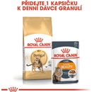 Krmivo pro kočky Royal Canin Bengal 10 kg