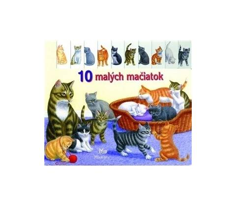 10 malých mačiatok