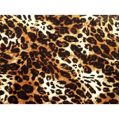 úplet plavkovina leo leopard