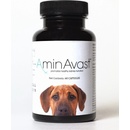 RenAvast Dog 60 tbl