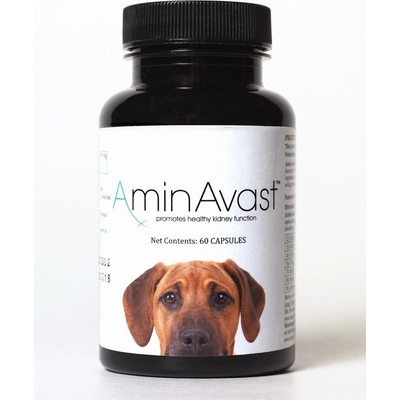 RenAvast Dog 60 tbl