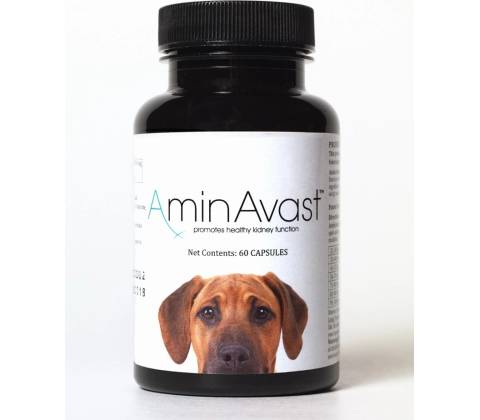 RenAvast Dog 60 tbl