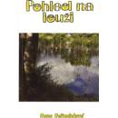 Pohled na louži - Hermánková Hana, Brožovaná