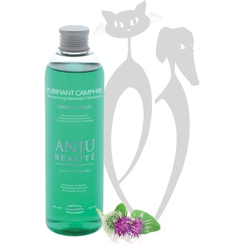 Anju Beauté Purifiant Camphre hluboce čistící 250 ml
