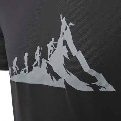 3F Vision Version 1761