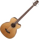 Takamine GB30CE Natural