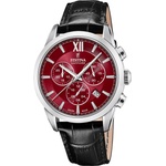 Festina 20041/5 Часовници