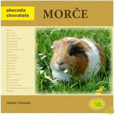 Morče Nataša Velenská