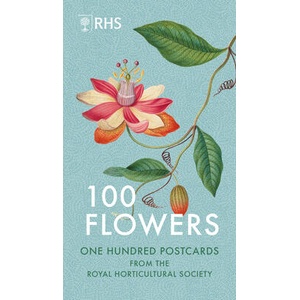 100 Flowers (ISBN: 9781805701156)