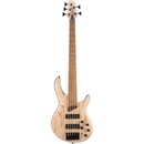 Cort B5 Element OPN
