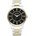 Radiant RA614202