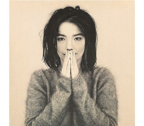 Debut - Bjork LP