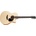 Furch Violet Master's Choice Gc-SM