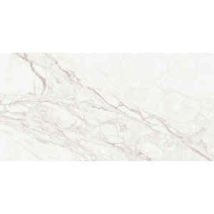 Mexen Rayas Silver Грес глазура ректифициран G1, подова и стенна плочка 120 x 60 см, гланц - TL147-120-060-01 (TL147-120-060-01)