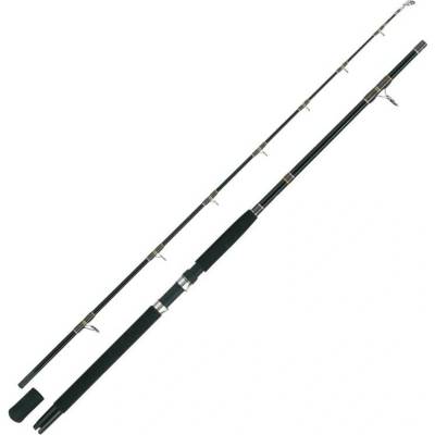 WFT OCEANIC PRO TIDECUTTER 2,1 m 200-700 g 2 díly