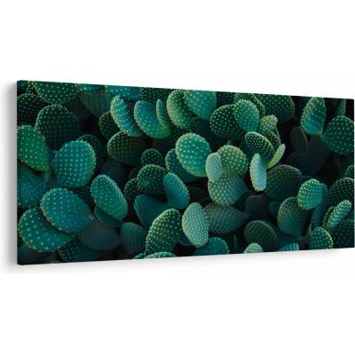 Obraz - Opuncie, jednodielne 200x100 cm