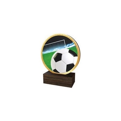 Poháry Bauer Dřevěná plaketa TFRW501 Fotbal
