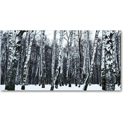 Fotoobraz na skle brezy zima 100x50 cm