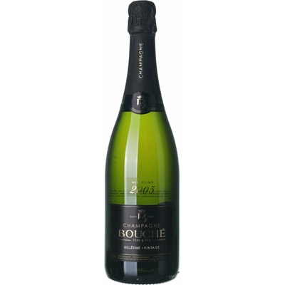 Bouché Champagne Extra Brut suché bílé 2005 12% 0,75 l (holá láhev)