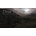 Dear Esther