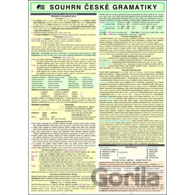 SOUHRN ČESKÉ GRAMATIKY A4