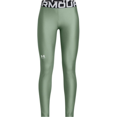 Under Armour HG Legging 1390069-348