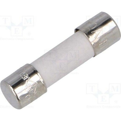 CONQUER ELECTRONIC UDA 10A 250V Pojistka: tavná; keramická,kulatý; 10A; 250VAC; zpožděná; 5x20mm
