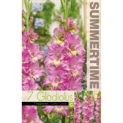 Seklos Гладиоли Gladiolus Ruffled Happy Disco - 7 бр луковици