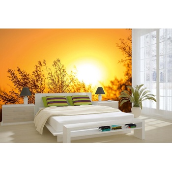 DIMEX ART s. r. o Самозалепваща се флизелинова фототапета дърво при изгрев слънце 375 x 250 см