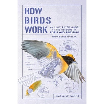 How Birds Work: An Illustrated Guide to the Wonders of Form and Function--From Bones to Beak