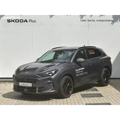 Cupra Terramar 1.5 eTSI DSG 110 kW