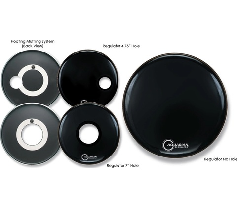 Aquarian RSM18BK