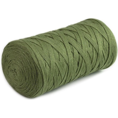 Prima-obchod Špagety ploché Ribbon 250 g, barva 45 (787) zelená stepní