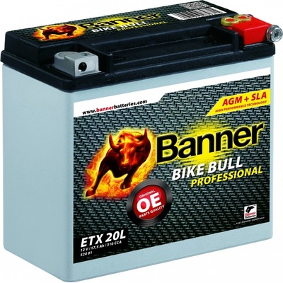 Banner AGM PRO 52001