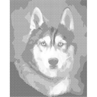 ZUTY Bodkovanie - HUSKY PORTRÉT Rámovanie: bez rámu a bez vypnutia plátna, Rozmer: 40x50 cm