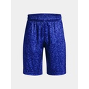 Under Armour UA Renegade 3.0 PRTD shorts modrá