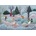 ROOVI - Puzzle Magic Forest - Winter - 1 000 piese